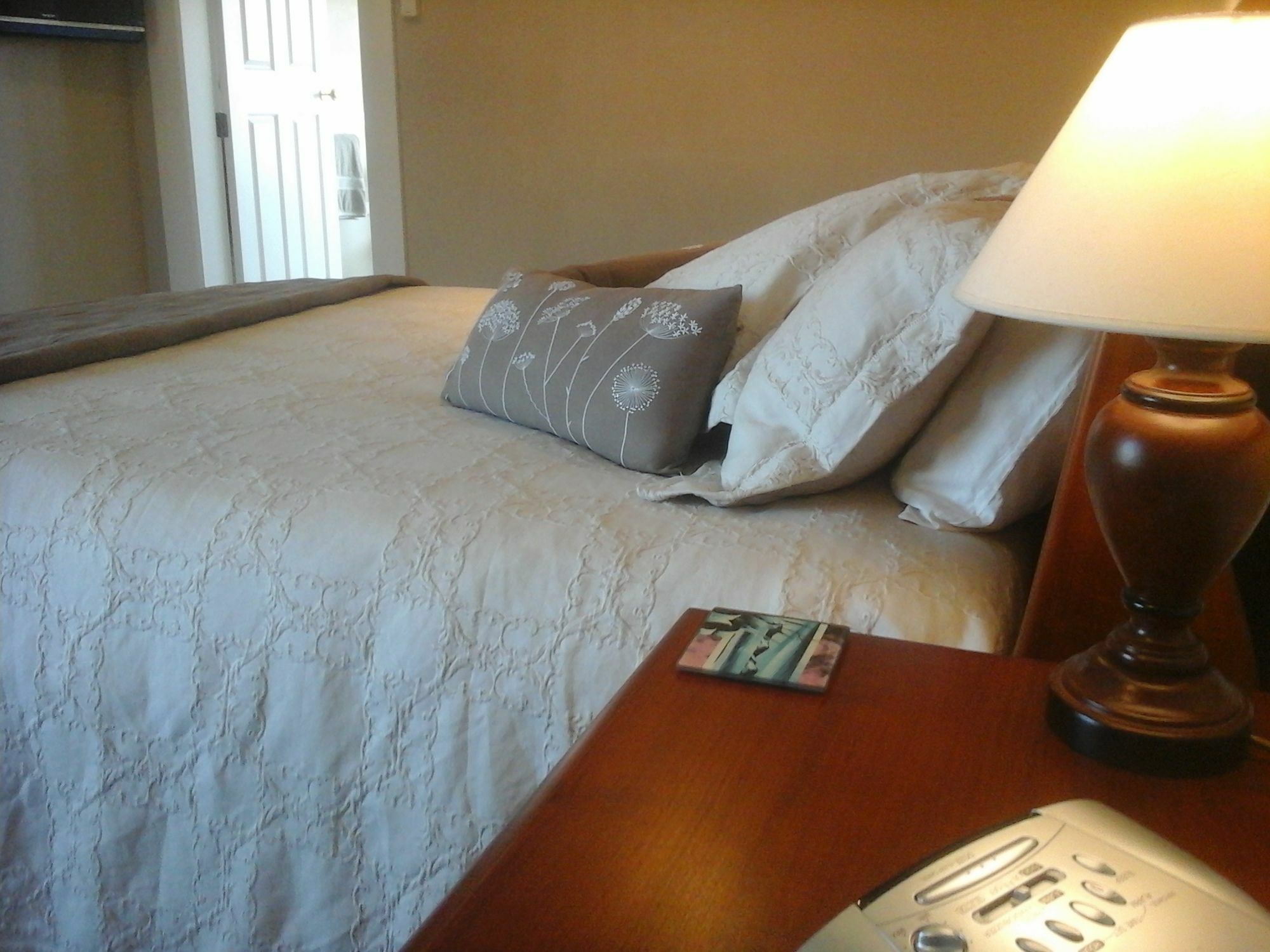 Kershaw House Bed & Breakfast Richmond Dış mekan fotoğraf