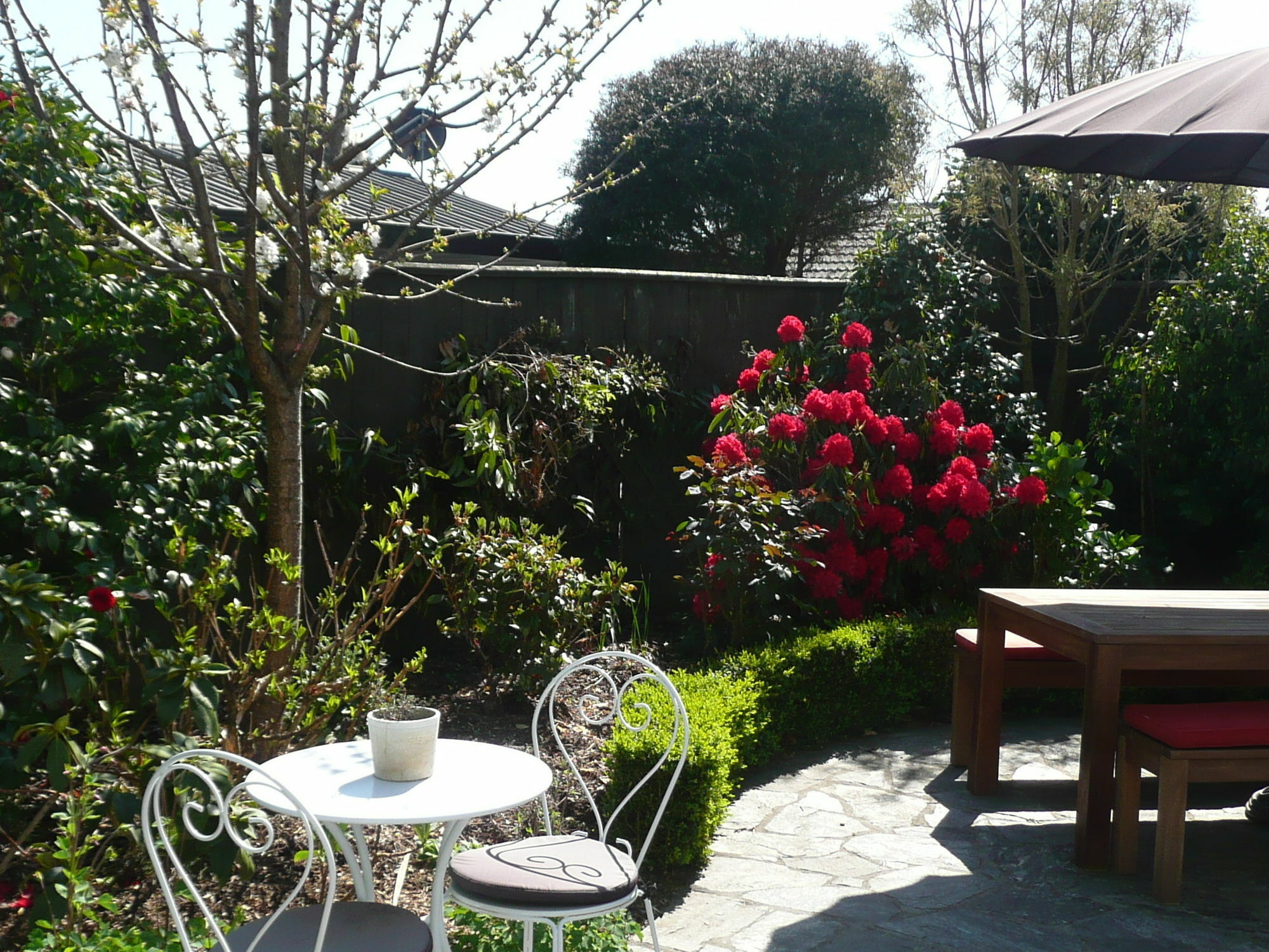 Kershaw House Bed & Breakfast Richmond Dış mekan fotoğraf