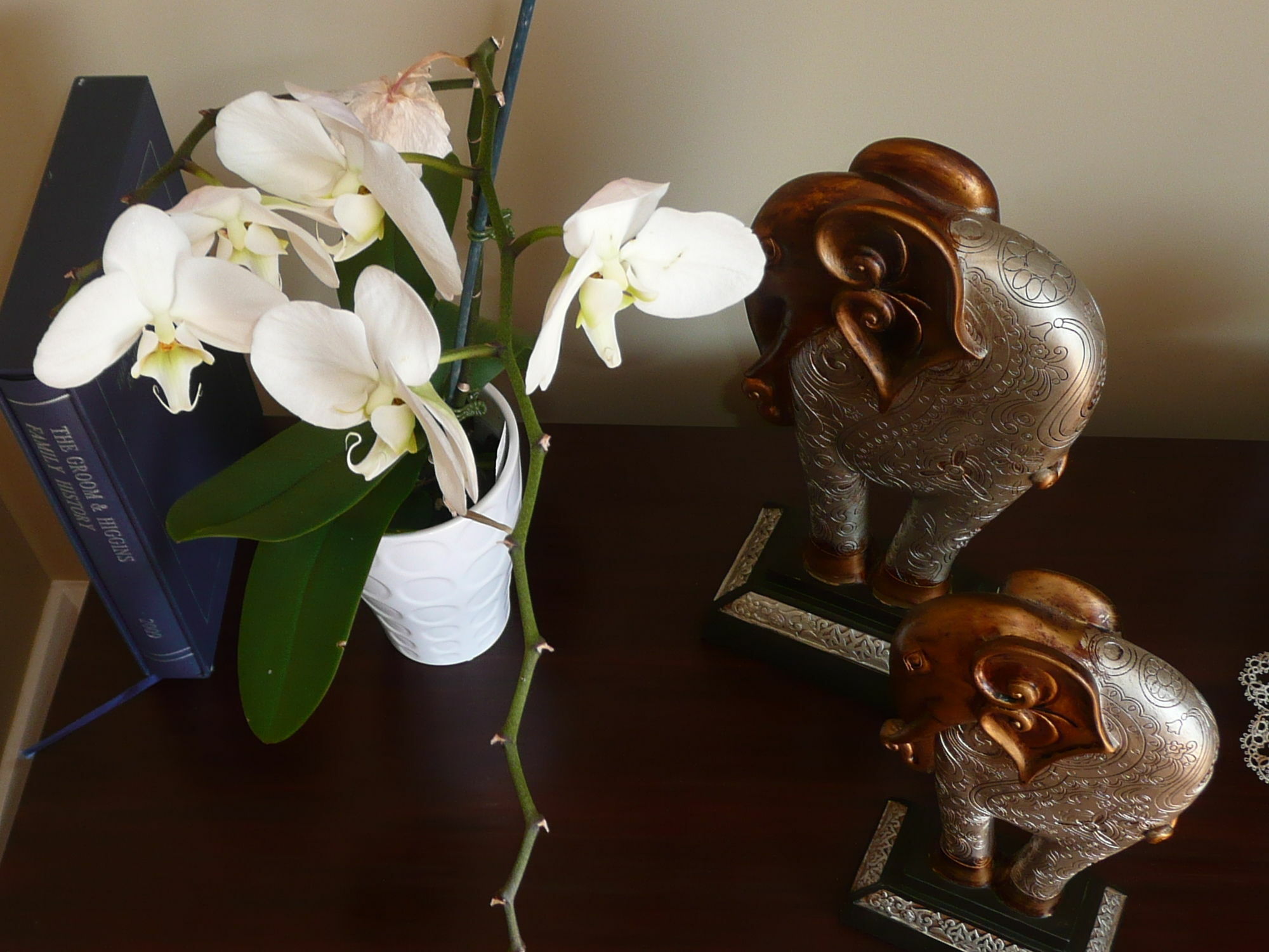 Kershaw House Bed & Breakfast Richmond Dış mekan fotoğraf