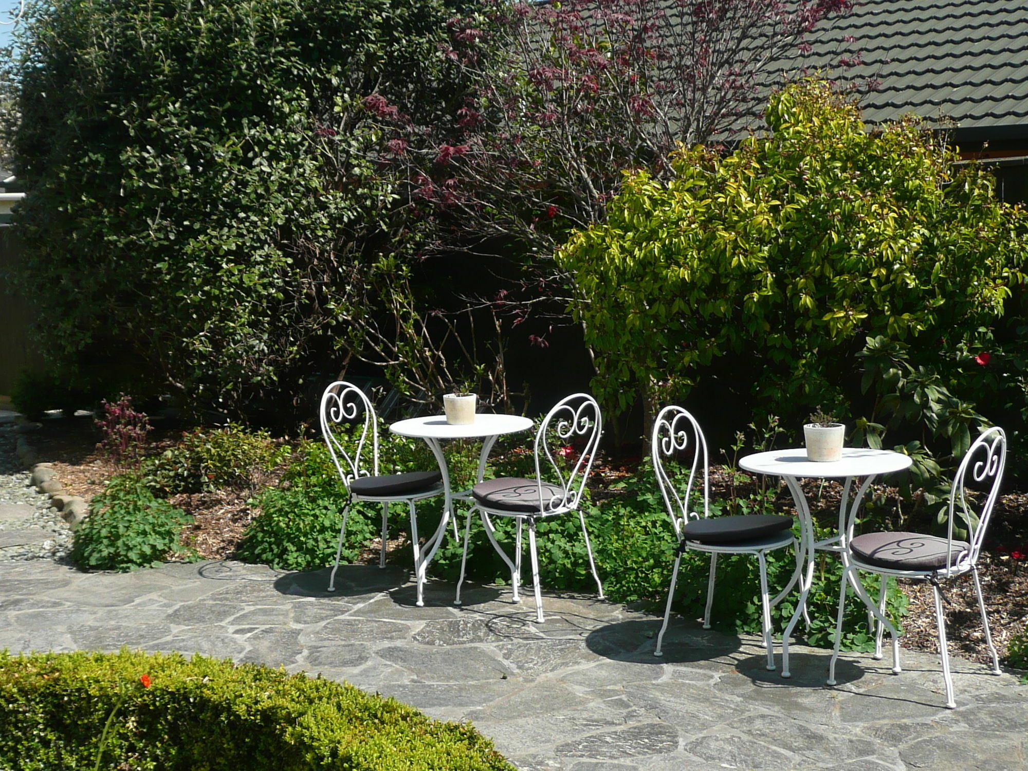 Kershaw House Bed & Breakfast Richmond Dış mekan fotoğraf